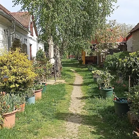 Bozsoki Piheno Appartamento Bozsok