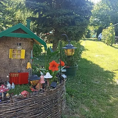 Bozsoki Piheno *