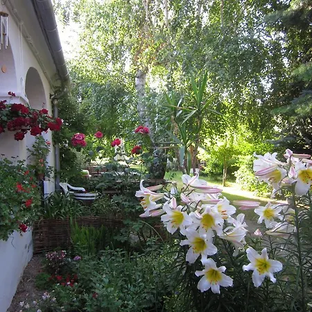 Apartment Bozsoki Piheno *
