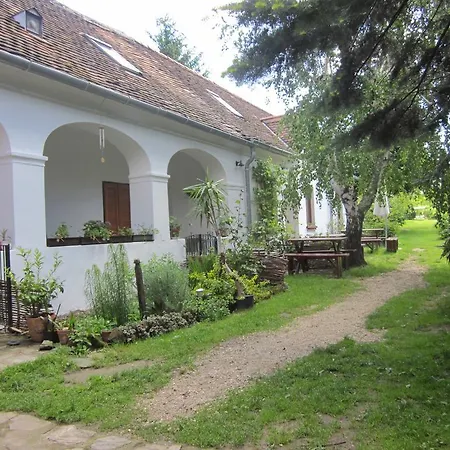Bozsoki Piheno Bozsok