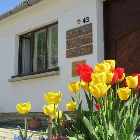 Bozsoki Piheno Apartment *
